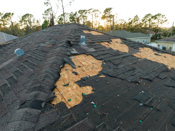 Best Green or Eco-Friendly Roofing Solutions  in New Pek, IN